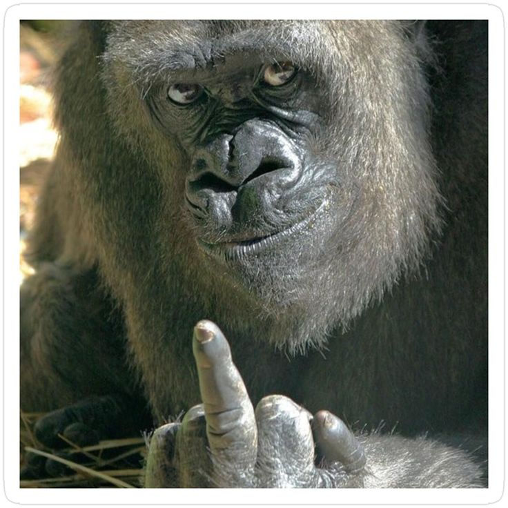 {24+} Ways $To Access Expedia CUSTOMER SERVICE Number By Phone, Chat And Email: A Step-by-step Guide - YouTube